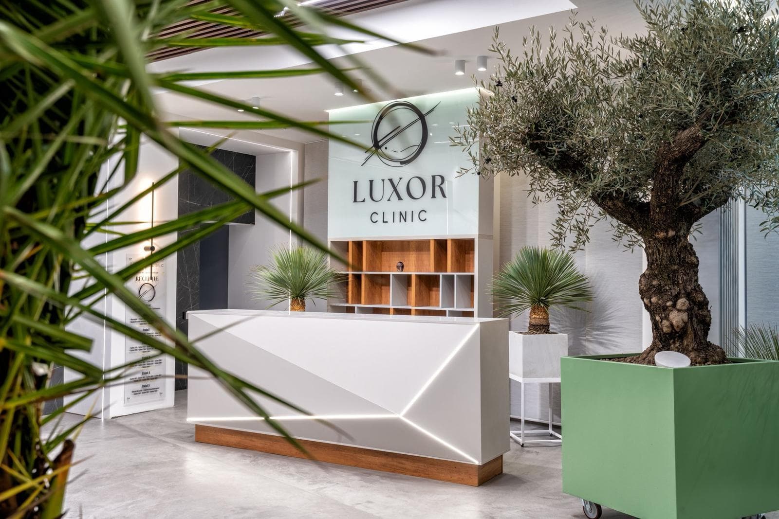 Luxor Clinic — Centru de îngrijire medicală pentru vârstnici, Pitești – Argeș